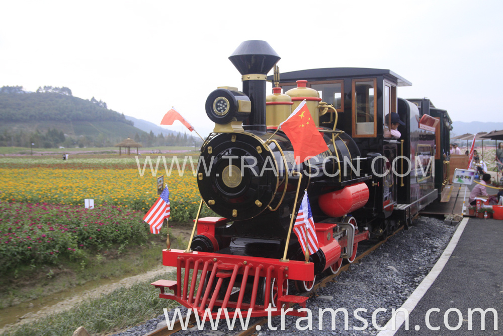 Rail Trains FLOWER GARDEN